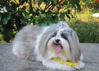 HOPE DUQUE DE LISBOA AGUIAR