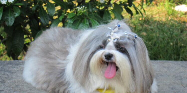 HOPE DUQUE DE LISBOA AGUIAR