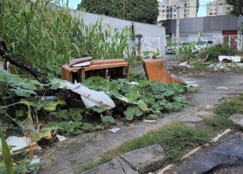 MANAUS – é a cidade mais limpa do Brasil ?