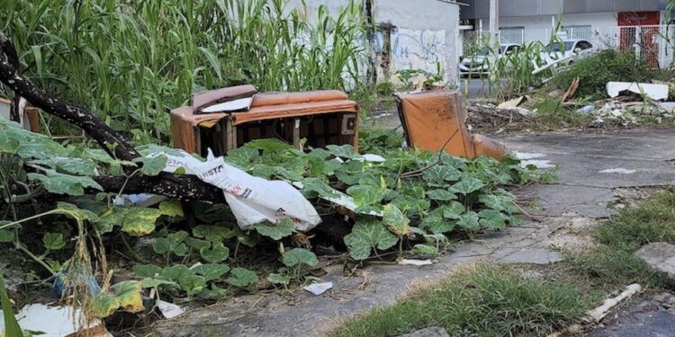 MANAUS – é a cidade mais limpa do Brasil ?