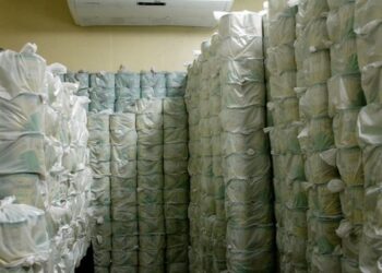 PROGRAMA LEITE DO MEU FILHO